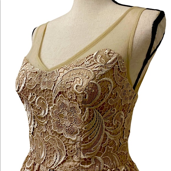 ADRIANNA PAPELL Lace Illusion Midi Size 4 - Picture 12 of 15